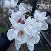 фото из отзыва ID 2703613