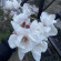 фото из отзыва ID 2703613
