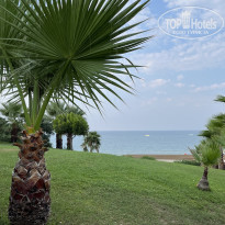 фото из отзыва ID 2703640