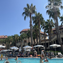 фото из отзыва ID 2703640