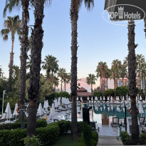 фото из отзыва ID 2703640