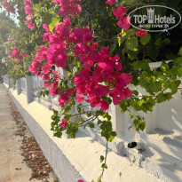 фото из отзыва ID 2703663