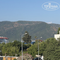 фото из отзыва ID 2703674