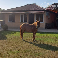 фото из отзыва ID 2703678