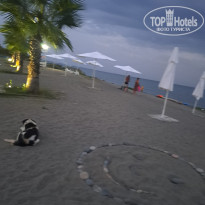 фото из отзыва ID 2703678