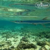 фото из отзыва ID 2702440