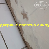 фото из отзыва ID 2703692