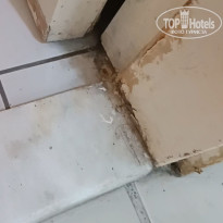 фото из отзыва ID 2703692