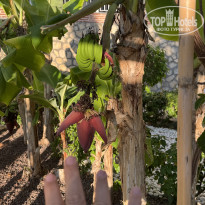 фото из отзыва ID 2703693