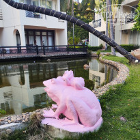 фото из отзыва ID 2703756