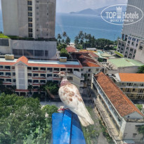 фото из отзыва ID 2703790