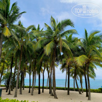 фото из отзыва ID 2703828