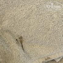 фото из отзыва ID 2703860