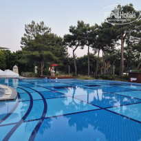 фото из отзыва ID 2703873