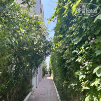 фото из отзыва ID 2703878