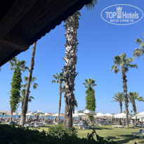 фото из отзыва ID 2703878