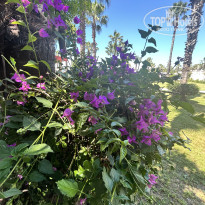 фото из отзыва ID 2703878