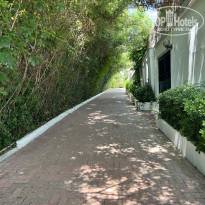 фото из отзыва ID 2703878