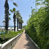 фото из отзыва ID 2703878