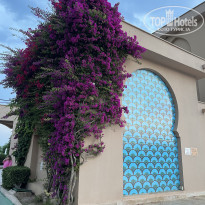 фото из отзыва ID 2703895