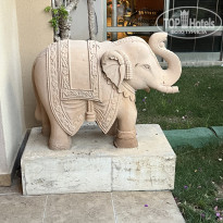 фото из отзыва ID 2703895