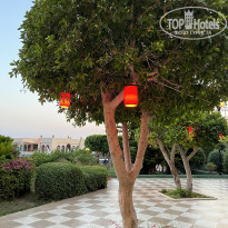 фото из отзыва ID 2703895