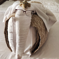 фото из отзыва ID 2703901