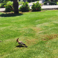 фото из отзыва ID 2703901