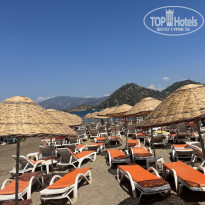 фото из отзыва ID 2703912