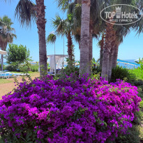 фото из отзыва ID 2703948