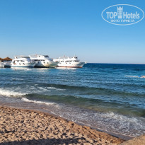 фото из отзыва ID 2703966