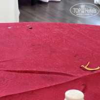 фото из отзыва ID 2703259