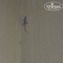 фото из отзыва ID 2703992