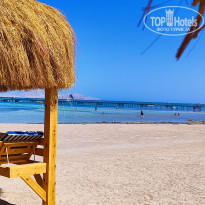 фото из отзыва ID 2703992