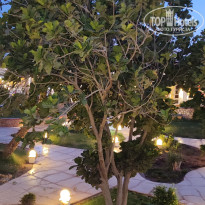 фото из отзыва ID 2703992