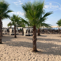 фото из отзыва ID 2704019