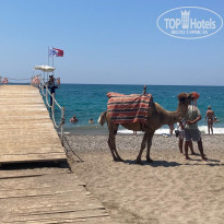 фото из отзыва ID 2704019