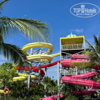 фото из отзыва ID 2704012