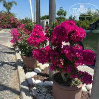 фото из отзыва ID 2704074