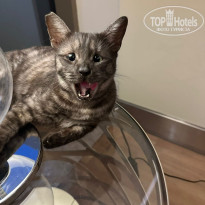 фото из отзыва ID 2704074