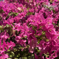 фото из отзыва ID 2704105