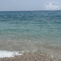 фото из отзыва ID 2704105