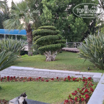 фото из отзыва ID 2704128