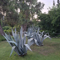 фото из отзыва ID 2704128