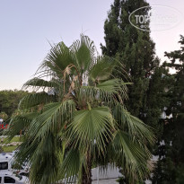 фото из отзыва ID 2704128