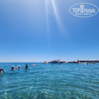 фото из отзыва ID 2704163