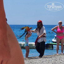 фото из отзыва ID 2704163