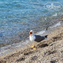 фото из отзыва ID 2704163