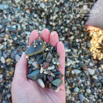 фото из отзыва ID 2704163