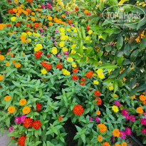 фото из отзыва ID 2704163